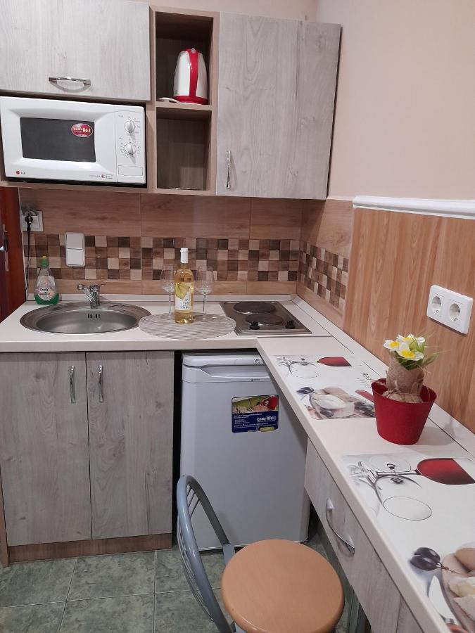 Andrea Apartman ハイデゥソボスロー エクステリア 写真